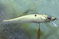 Image 4 of Custom Airbrushed Jerkbait TA 110 4233