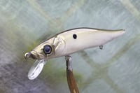 Image 9 of Custom Airbrushed Jerkbait TA 110 4233