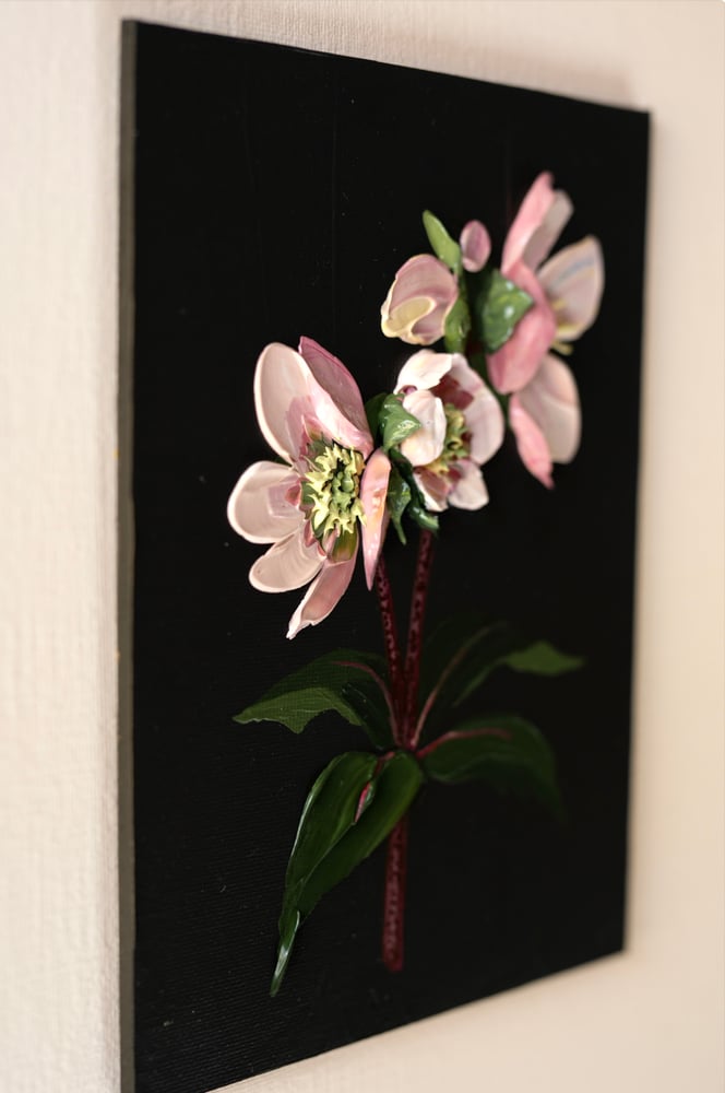 Image of Hellebore On Almost Black II