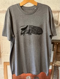 Image 2 of Anteater T-Shirt