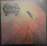 Image 1 of Abysmal Descent - Dismal Thoughts - LP, CD