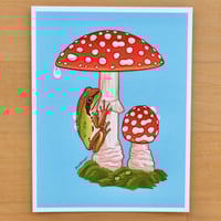 Fly Agaric & Pacific Tree Frog Postcard Print