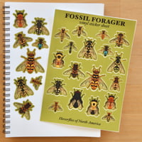 Image 1 of North American Hoverflies Sticker Sheet