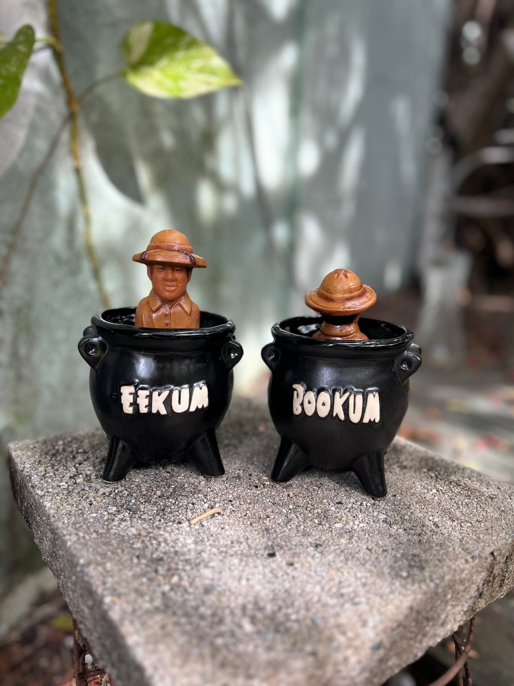 Image of The Missionary