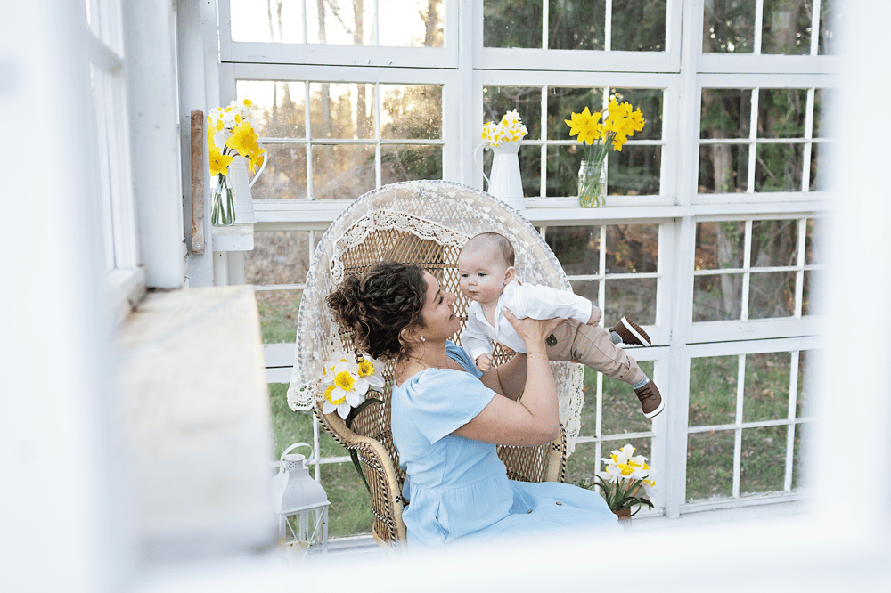 Image of 03/30 | Daffodil Greenhouse Minis 