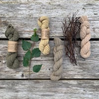 Image 5 of An Introduction to Eco Printing and Natural Dyes