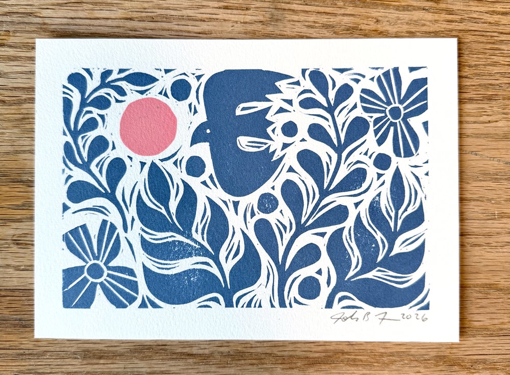 Image of Vive Libre - Print Pack