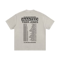 Image 2 of SANDSTONE WANTED 