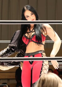 Image 2 of Worn in ring gear 