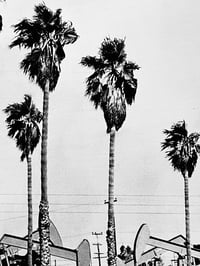 Image 2 of CALIFORNIA TRIP - DENNIS STOCK