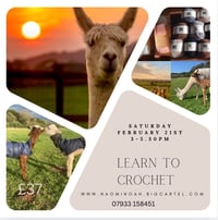 Image 1 of Learn to crochet Cadbury Alpacas Saturday February 21st 3-5.30 pm 