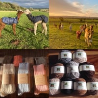 Image 6 of Learn to crochet Cadbury Alpacas Saturday February 21st 3-5.30 pm 