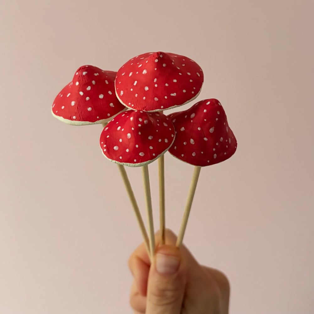 Image of Spotty Mushroom box kit 