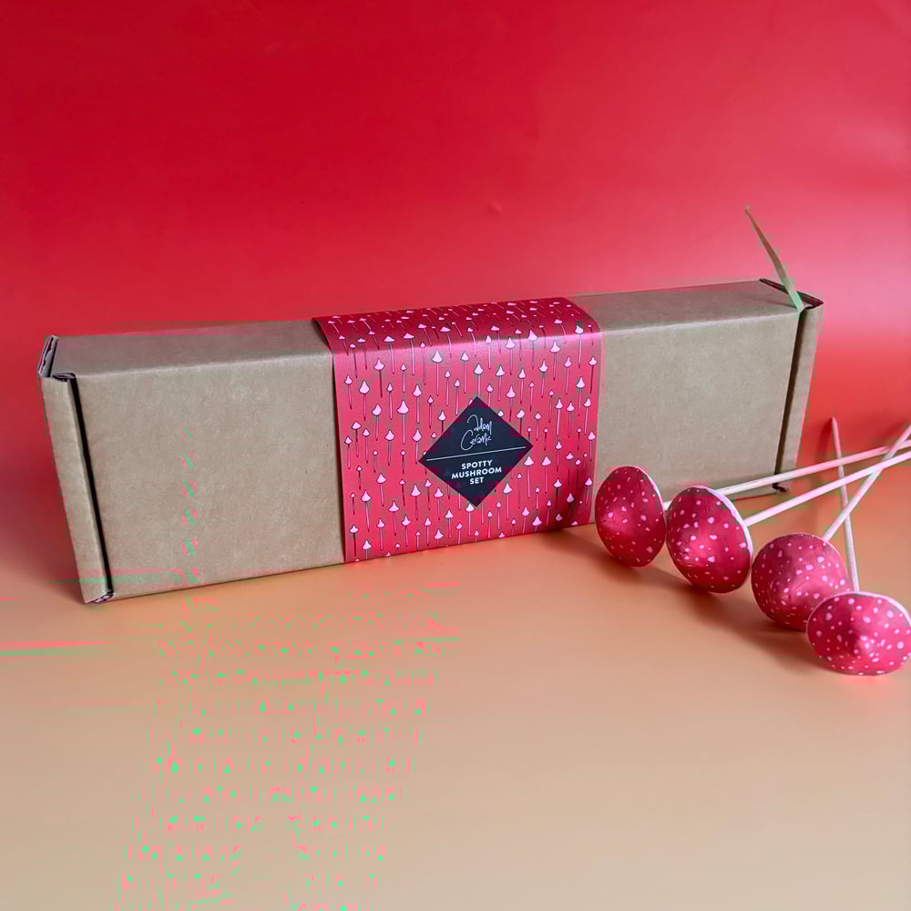Image of Spotty Mushroom box kit 