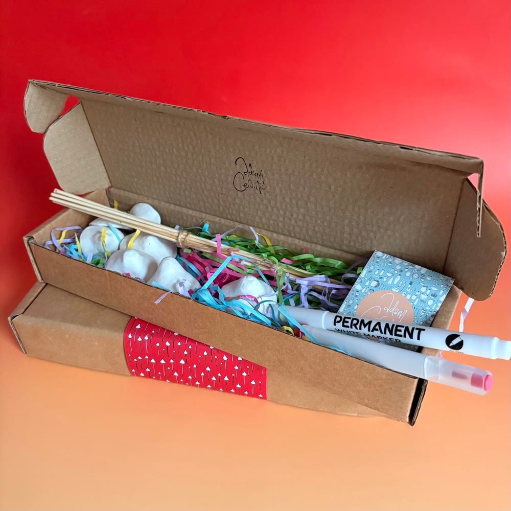 Image of Spotty Mushroom box kit 