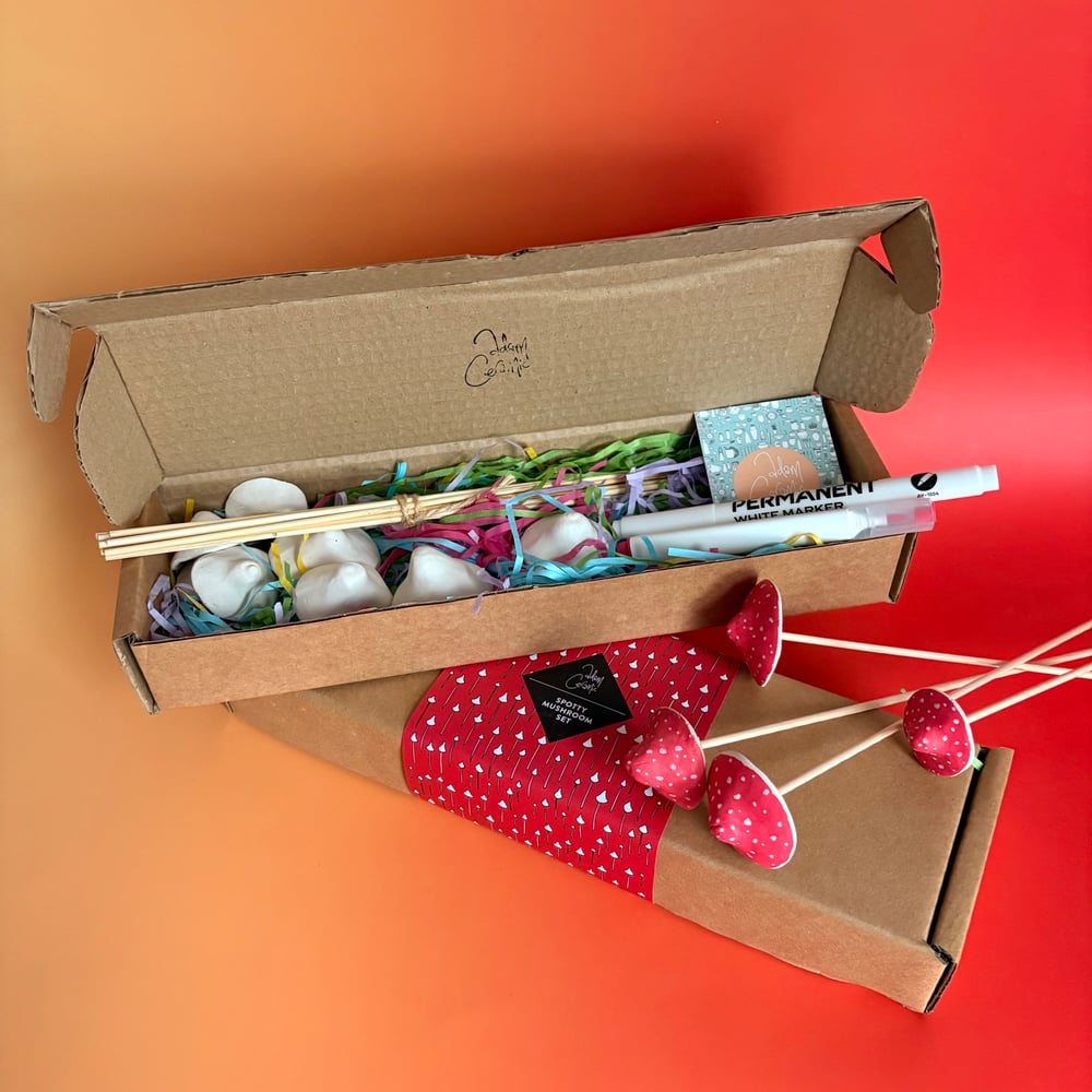 Image of Spotty Mushroom box kit 