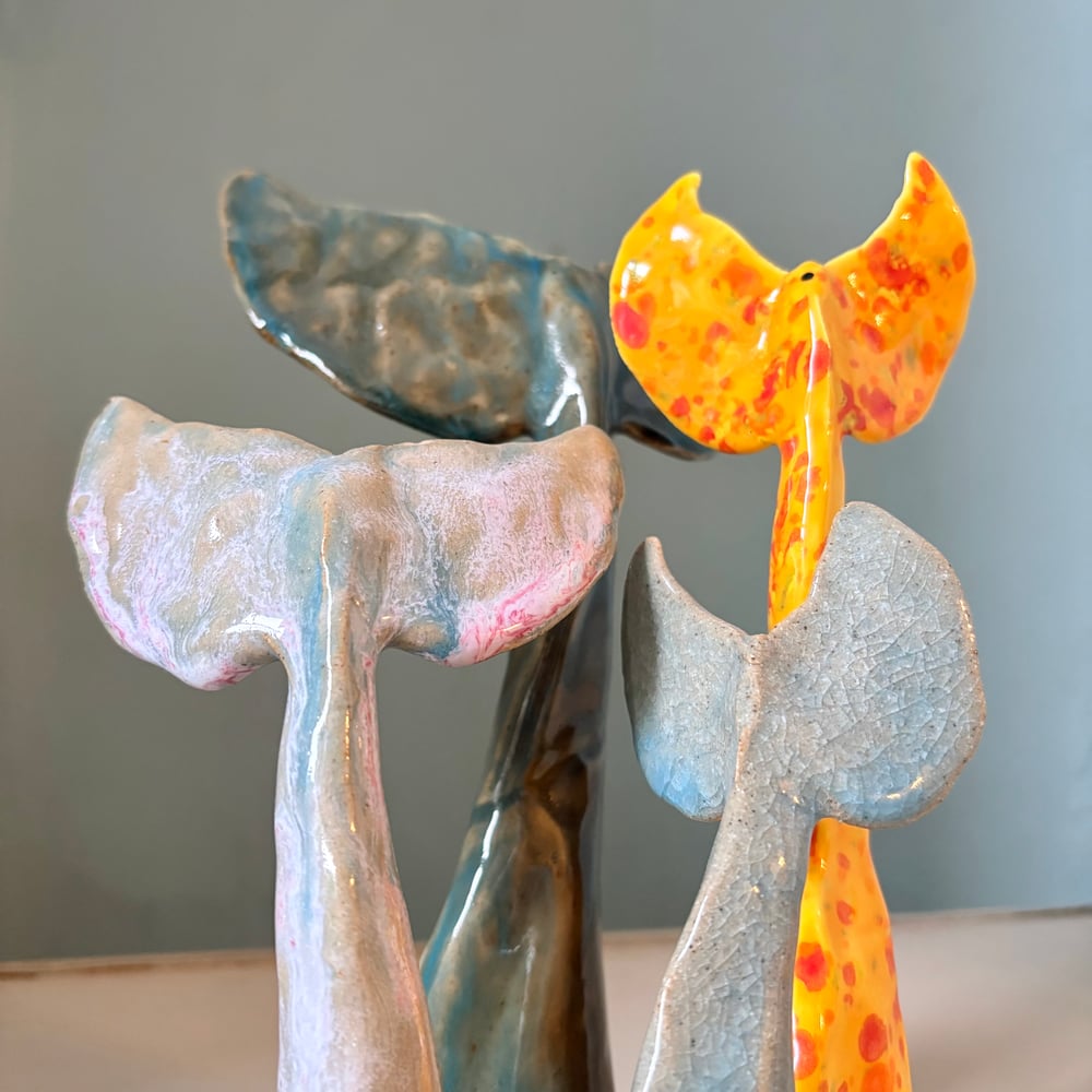 Image of Rare whale tails