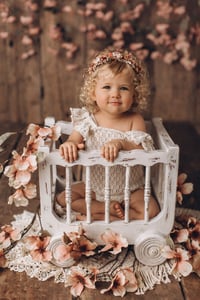 Image 3 of Fairy Tale Wagon