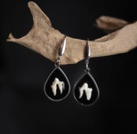 Steel Fox Teeth Earrings