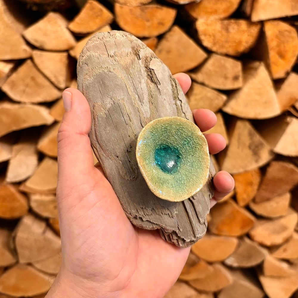 Image of Copy of Glazed Lily wall art