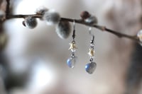 Image 1 of Orecchini Vertebre di Serpente e Labradorite