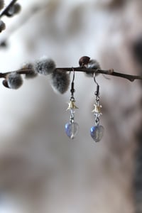 Image 5 of Orecchini Vertebre di Serpente e Labradorite