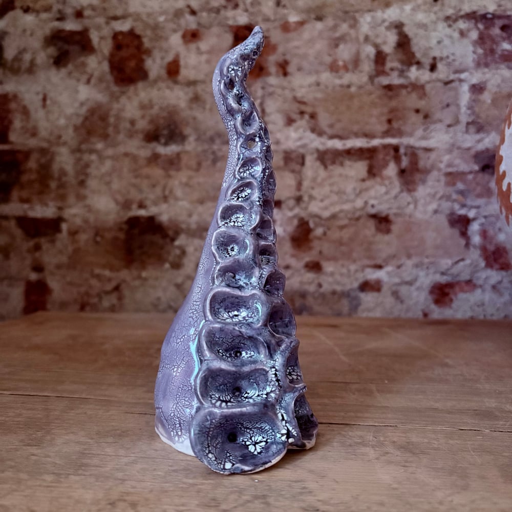 Image of Kracken tentacle 