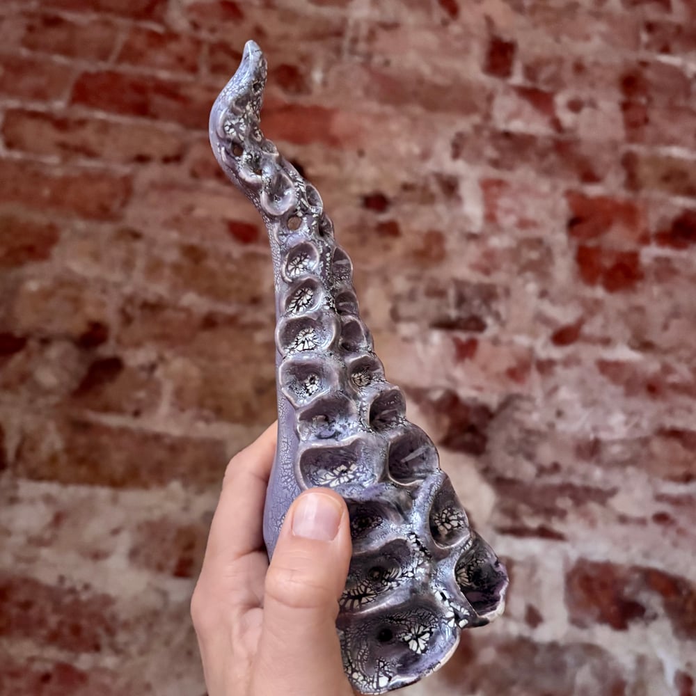 Image of Kracken tentacle 