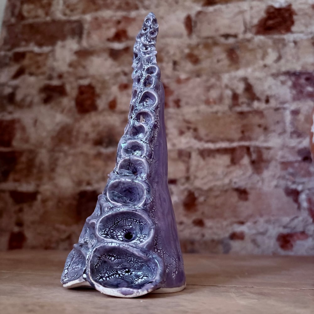 Image of Kracken tentacle 