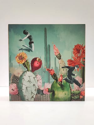 Image of Saltadores de Cactus.