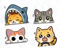 Image 2 of 黒猫 TABBY (CATS)