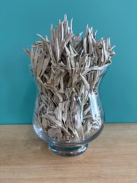 Image 1 of Sacred White Sage Clusters 