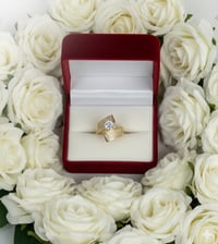 Wedding / engagement 