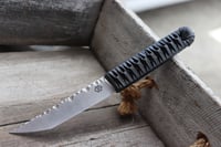 Image 1 of Kyoryu No. 009