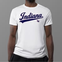 Image 1 of The Indiana Fever