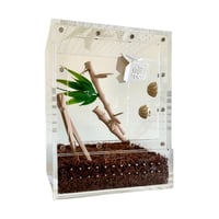 Image 8 of Lucky Dumplings