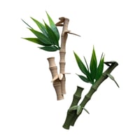 Image 9 of Lucky Dumplings