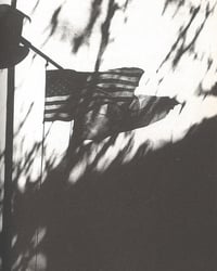 Image 2 of DAIDO MORIYAMA - A DOG'S MEMORY: FINAL CHAPTER