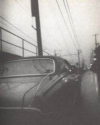 Image 3 of DAIDO MORIYAMA - A DOG'S MEMORY: FINAL CHAPTER