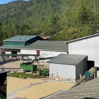 Image 3 of Honduras - Finca El Puente - Washed Catuaí - Espresso