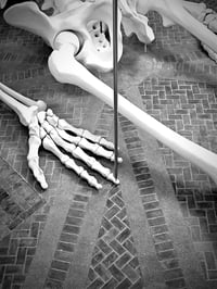 Image 2 of Calamita Cosmica, 2026