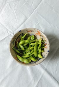 Image 1 of fish doodle bowl 