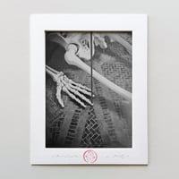 Image 1 of Calamita Cosmica, 2026