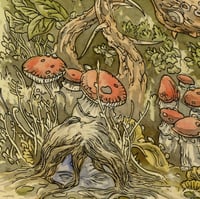 Image 3 of Witch's Garden