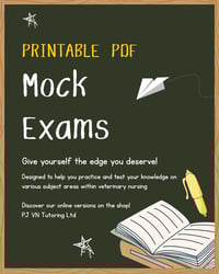 PRINTABLE PDF Mock Exams