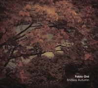 Image 1 of Fabio Orsi - Endless Autumn CD