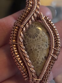 Image 2 of Fossilized coral (bare copper)