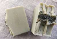 Image 2 of Moss & Meadow 