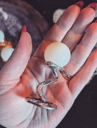 Image 5 of Mini opalite/ snake stands 