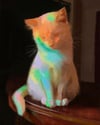 Rainbow Cat II (Print)